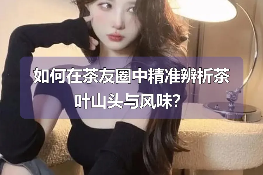 如何在茶友圈中精准辨析茶叶山头与风味？